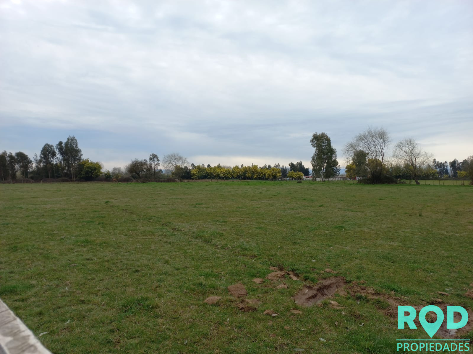 En Venta Parcela sector Pangue Arriba San Rafael