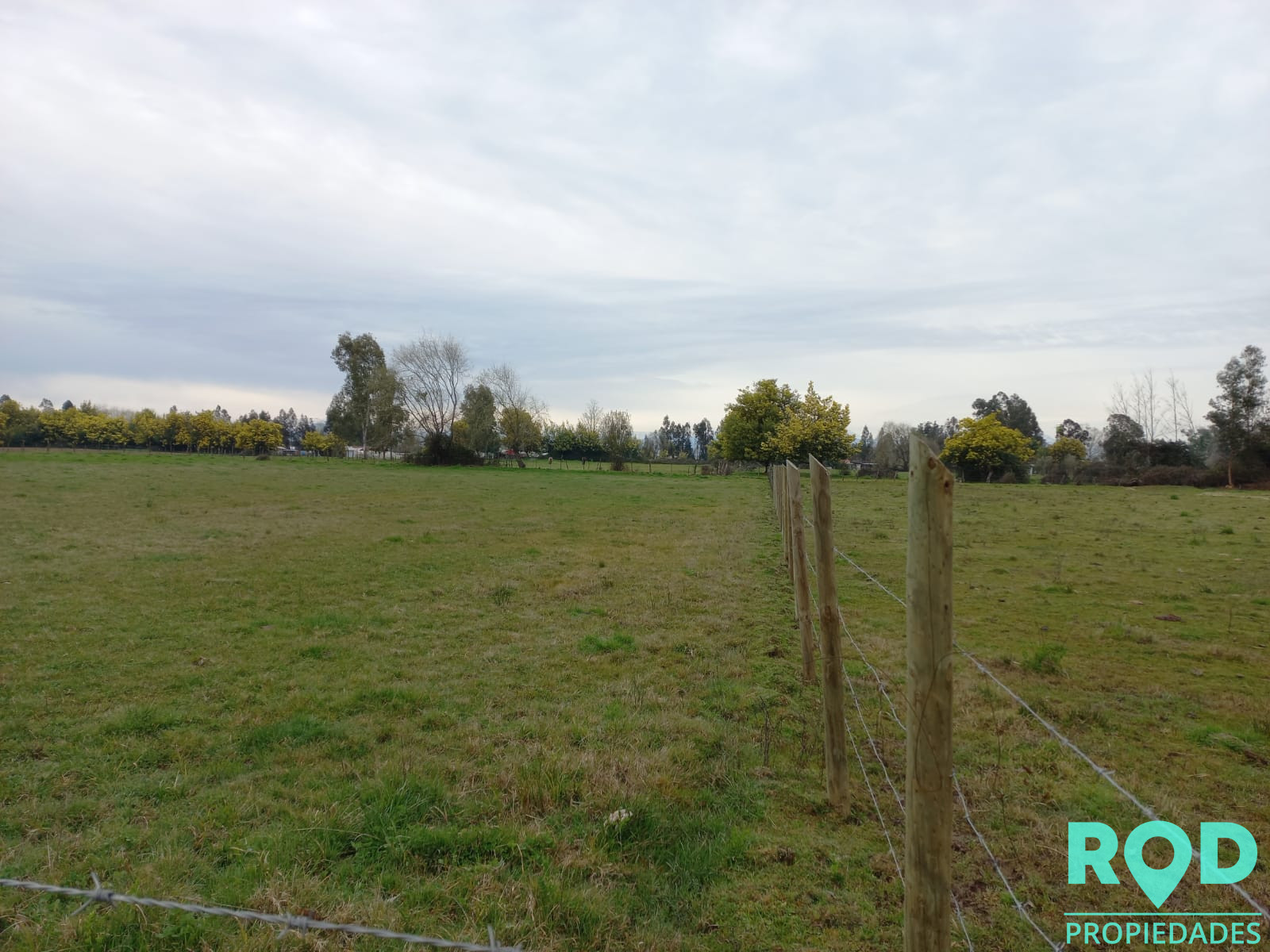 En Venta Parcela sector Pangue Arriba San Rafael