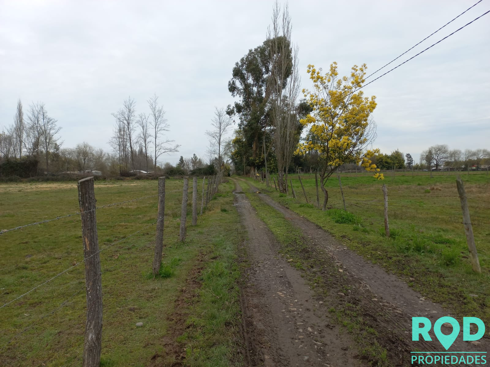 En Venta Parcela sector Pangue Arriba San Rafael